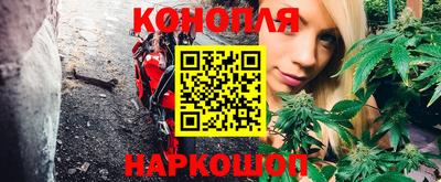 стаф Кулебаки