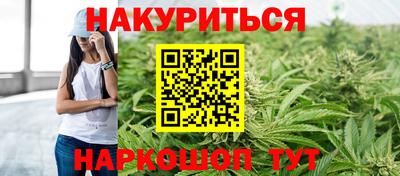 стаф Кулебаки