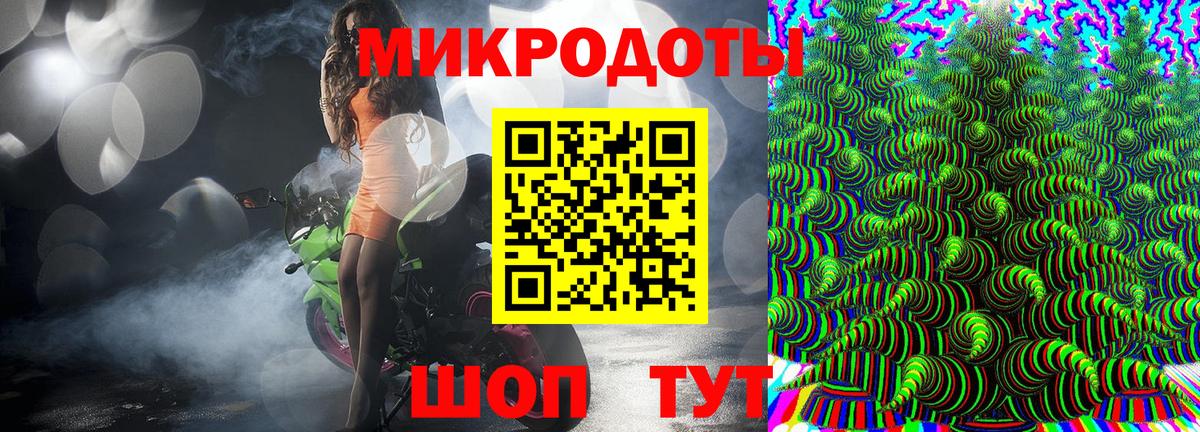 Кисловодск  Галлюциногенные грибы прущие грибы  Вход с VPN 