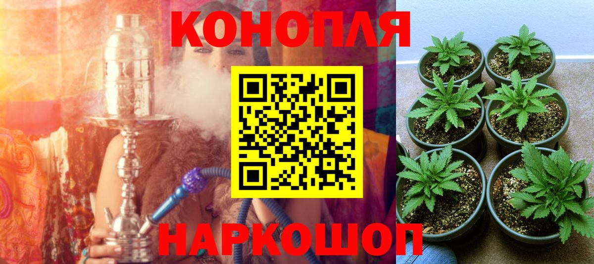 Бошки Шишки Amnesia Кисловодск